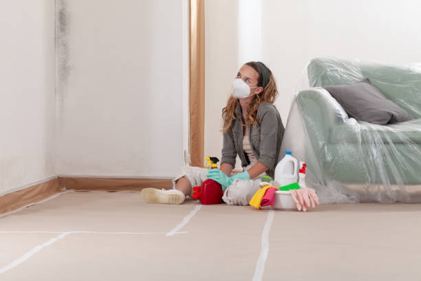 Reliable Mold Remediation contractor in Burlington, CO by 24 Hour Mold Removal